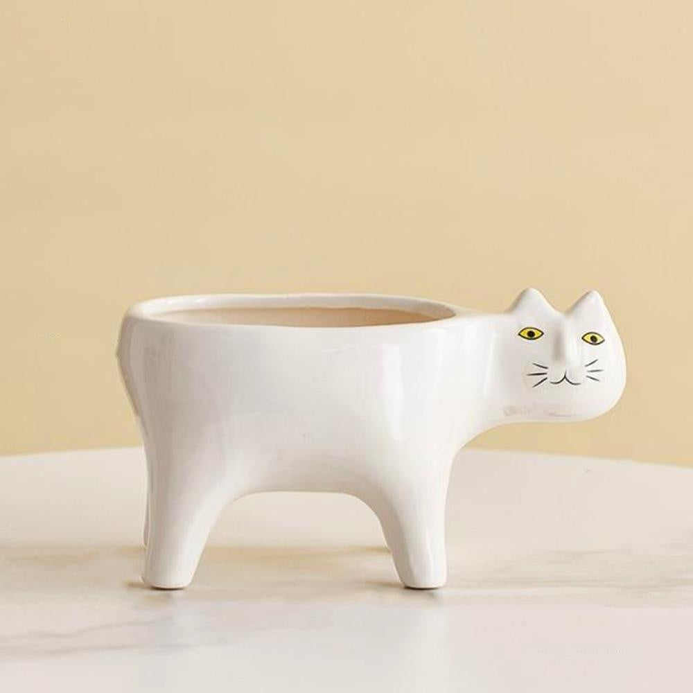 Kat Pot | Stornfield