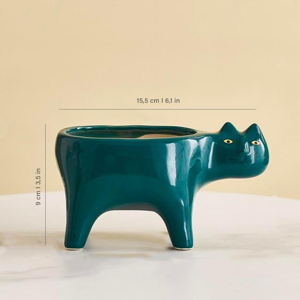 Kat Pot | Stornfield