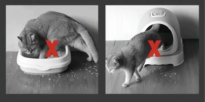 Stornfield | Cat litter mat – Keep your floors clean and litter-free!