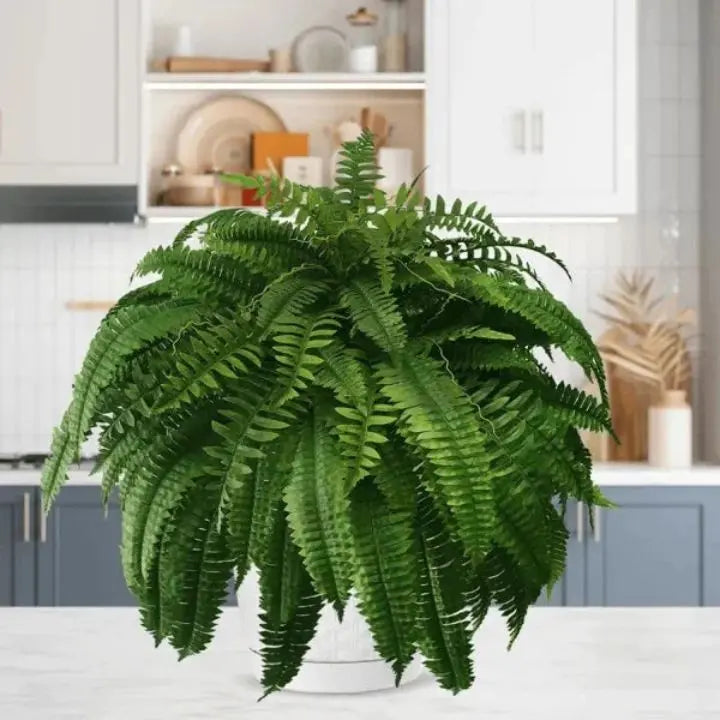Stornfield | Artificial Boston Fern Bundle - UV resistant & easy to care for (18 stems)