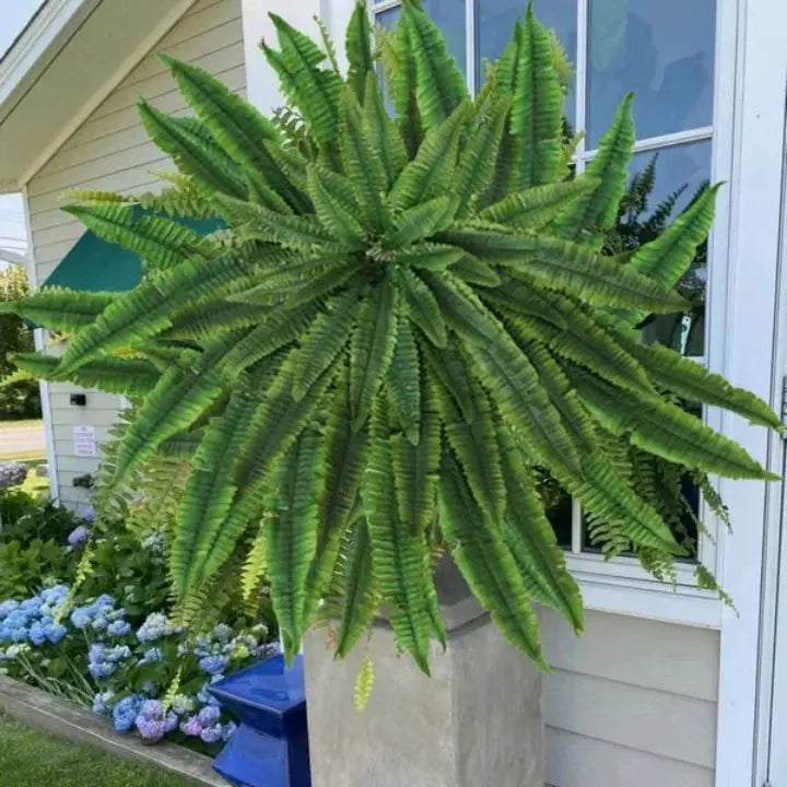 Stornfield | Artificial Boston Fern Bundle - UV resistant & easy to care for (18 stems)
