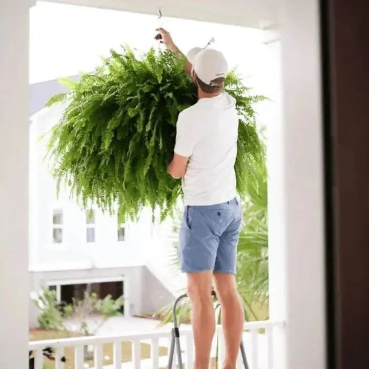 Stornfield | Artificial Boston Fern Bundle - UV resistant & easy to care for (18 stems)