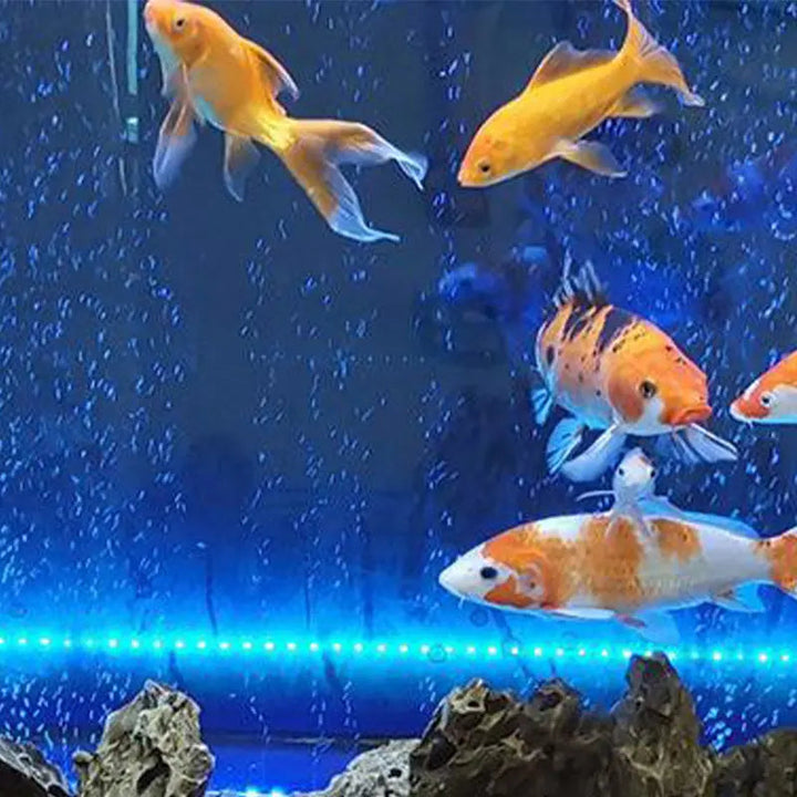 Stornfield | LED Aquarium Air Bubble with Color Change Lighting