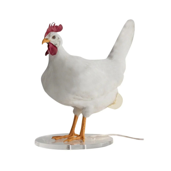 Innovative lamp for chickens - Promotes laying - Turns on and heats up | Stornfield