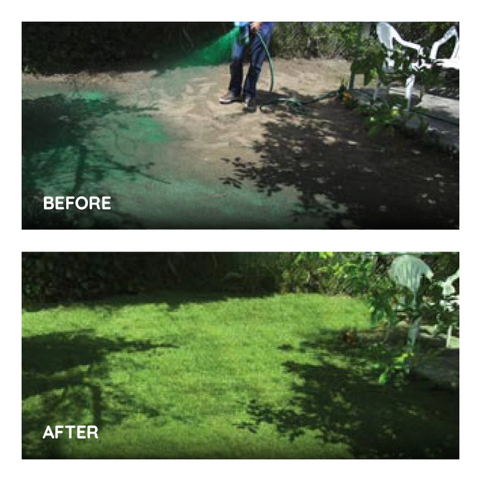 Stornfield | Liquid Lawn Seed Spray