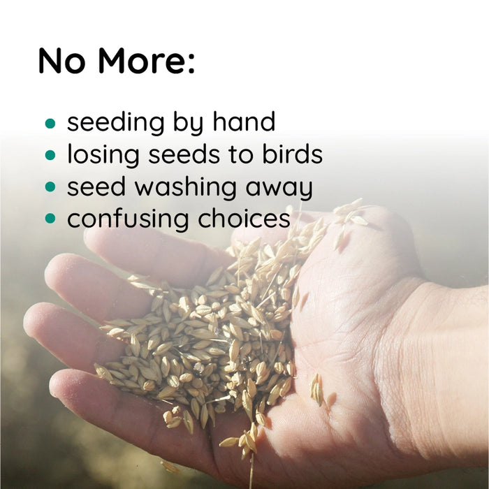 Stornfield | Liquid Lawn Seed Spray