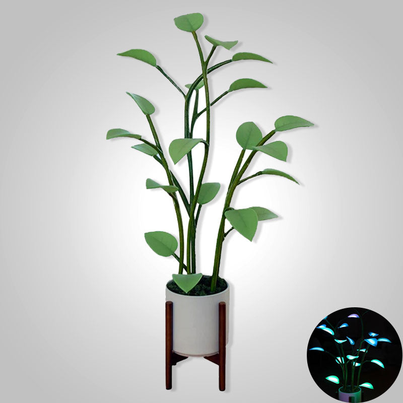 Stornfield | Luminous Bloom | Magie LED Plante