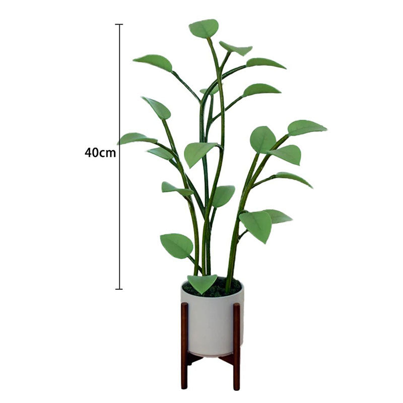 Stornfield | Luminous Bloom | Magie LED Plante