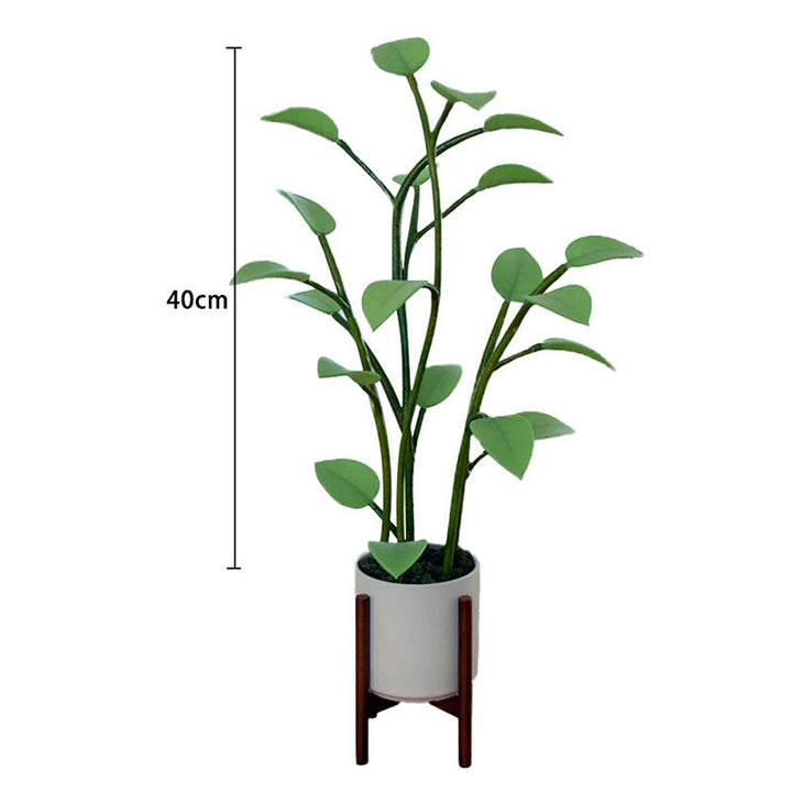 Stornfield | Luminous Bloom | Magie LED Plante