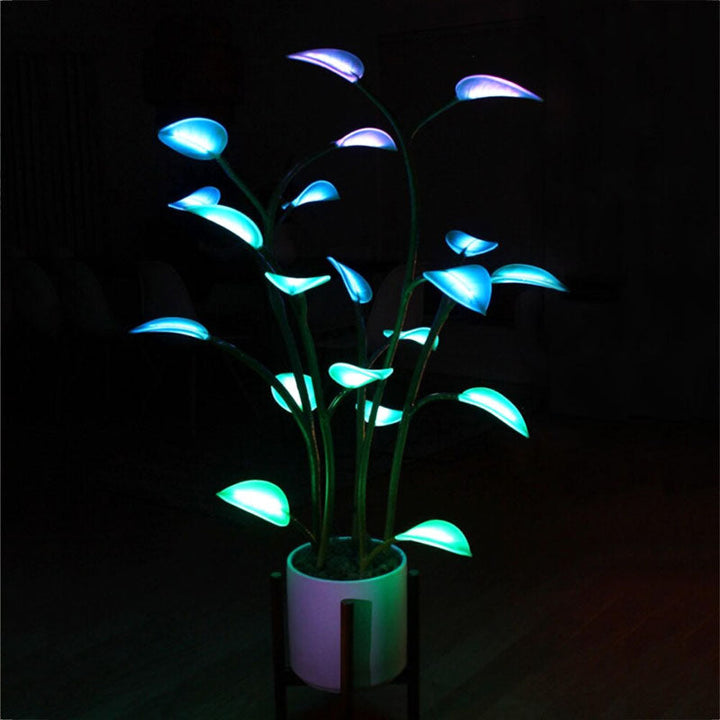 Stornfield | Luminous Bloom | Magie LED Plante