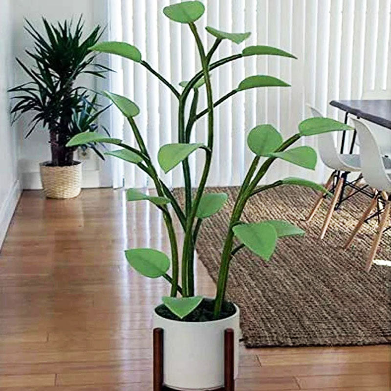 Stornfield | Luminous Bloom | Magie LED Plante