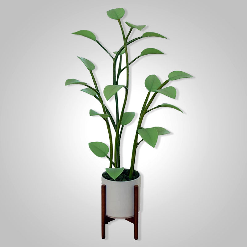 Stornfield | Luminous Bloom | Magie LED Plante