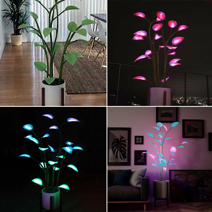 Stornfield | Luminous Bloom | Magie LED Plante