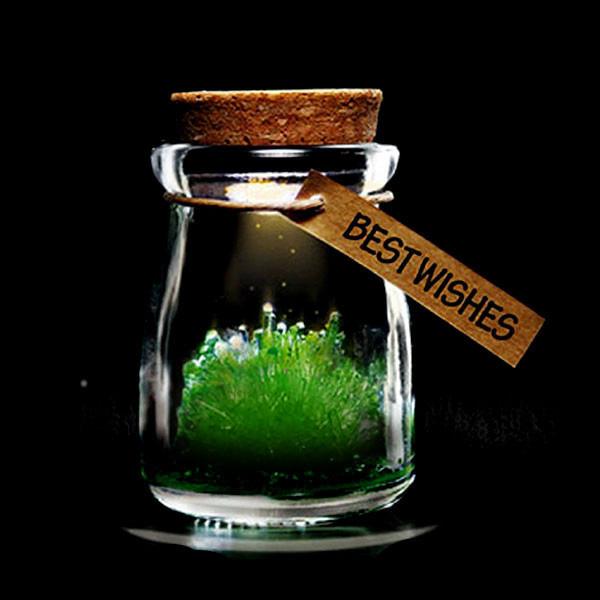 Magic Crystal Growing Jar Kit (Various Colors And Messages) | Stornfield