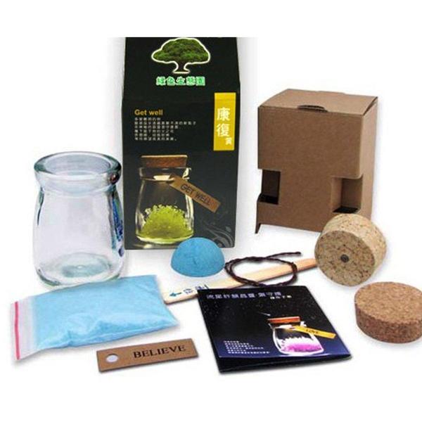 Magic Crystal Growing Jar Kit (Various Colors And Messages) | Stornfield