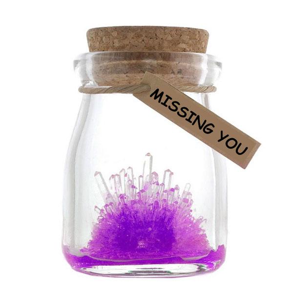 Magic Crystal Growing Jar Kit (Various Colors And Messages) | Stornfield