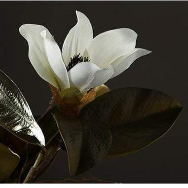Magnolia Silk Flower | Stornfield