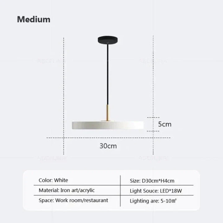 Stornfield | Slim disc pendant light
