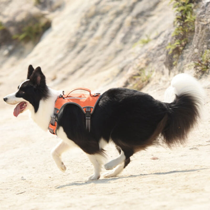 Stornfield | Multi-functional Anti-Pull and Anti-Burst Harness for Medium to Large Dogs