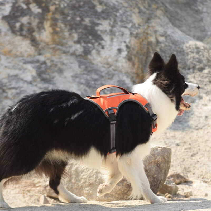 Stornfield | Multi-functional Anti-Pull and Anti-Burst Harness for Medium to Large Dogs