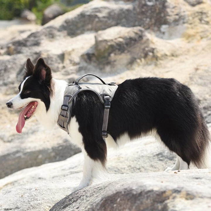 Stornfield | Multi-functional Anti-Pull and Anti-Burst Harness for Medium to Large Dogs