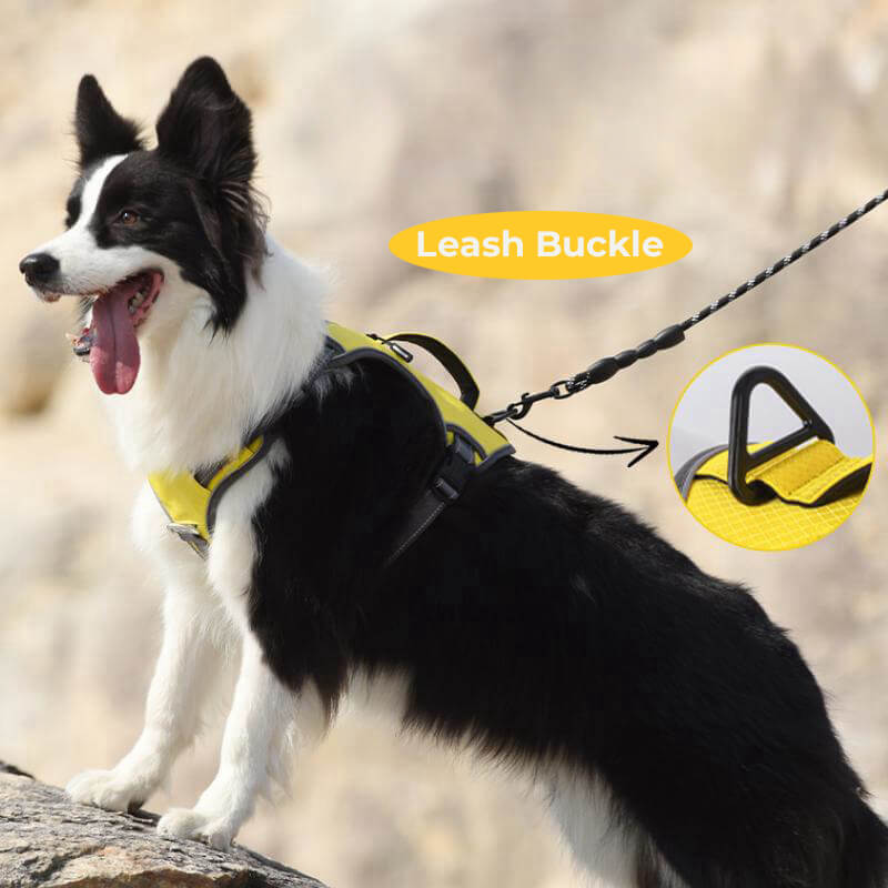 Stornfield | Multi-functional Anti-Pull and Anti-Burst Harness for Medium to Large Dogs