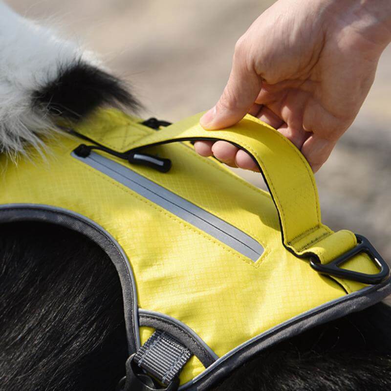 Stornfield | Multi-functional Anti-Pull and Anti-Burst Harness for Medium to Large Dogs