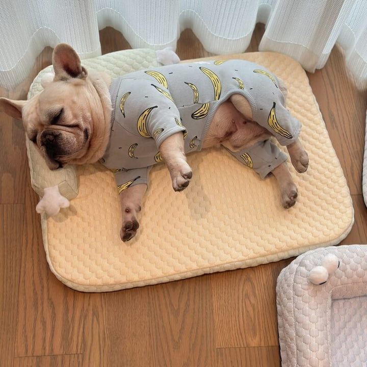 FrostyPaws | Cooling Pet Bed | Stornfield