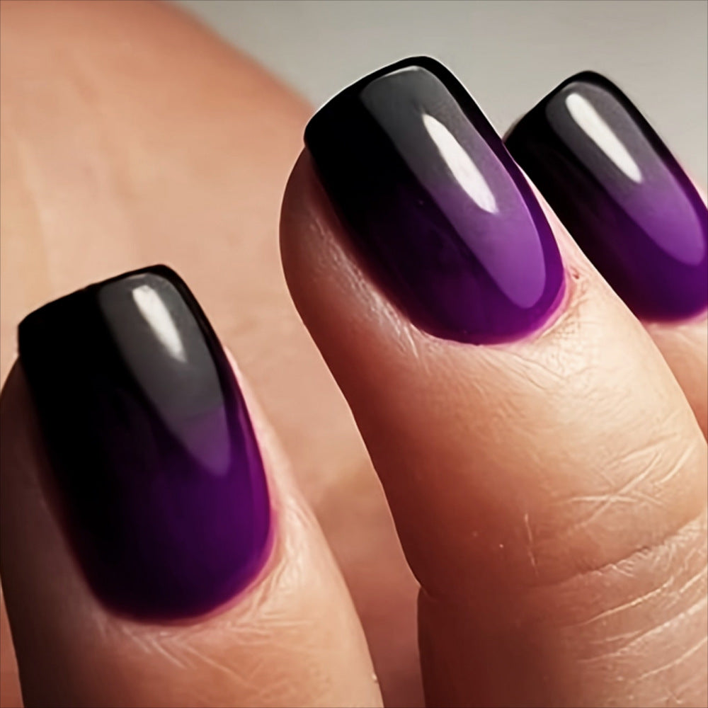 Ombre Nail Art Set
