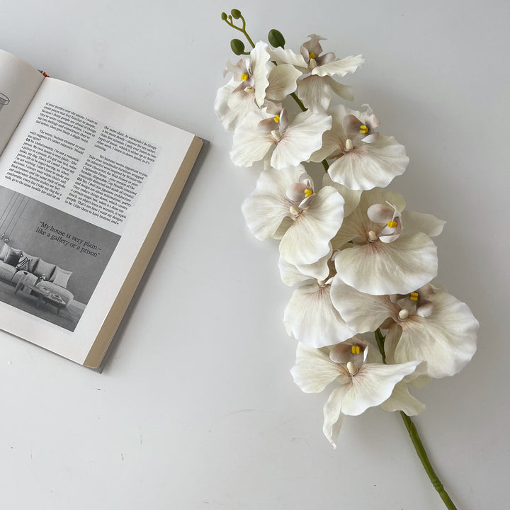 Realistic Orchid Floral Stem
