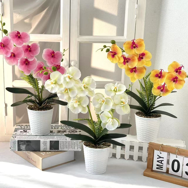 Decorative Orchid Plant for Indoor Home Decor