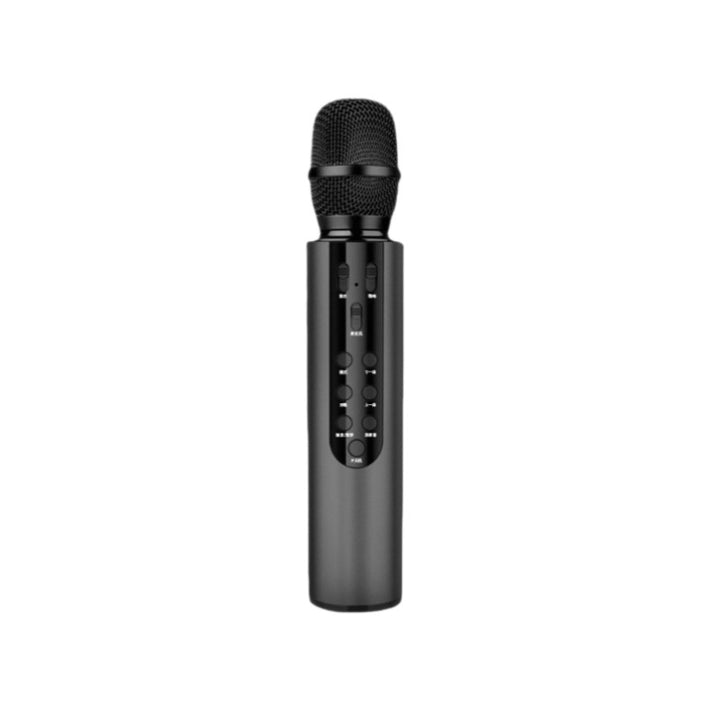 Karaoke Microphone Stornfield