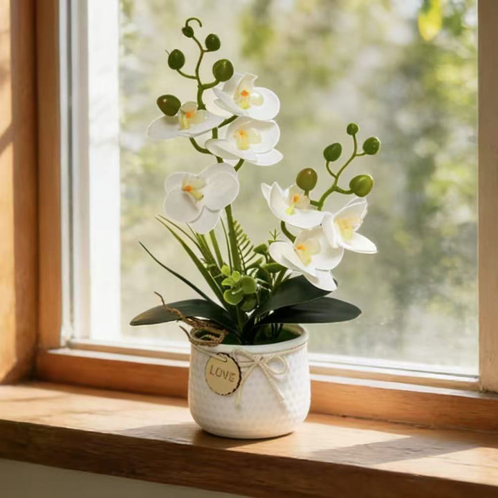 Home Décor Artificial Orchid for Indoor Decorative Display