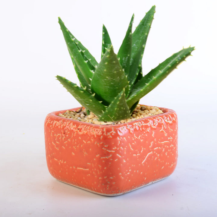 Deko Pot Stornfield