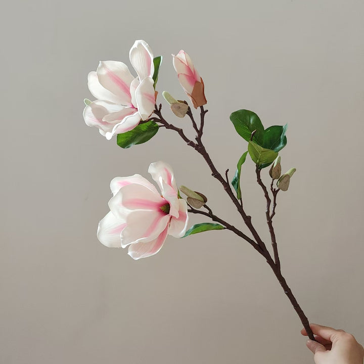 Realistic Magnolia Blossom Stem