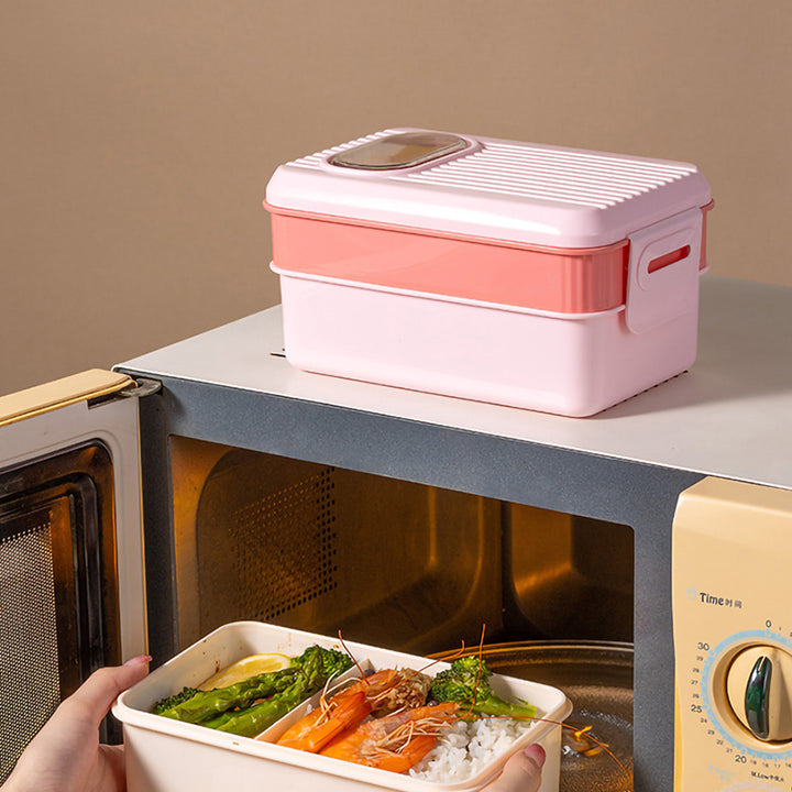 Stylish Dual-Section Lunch Box