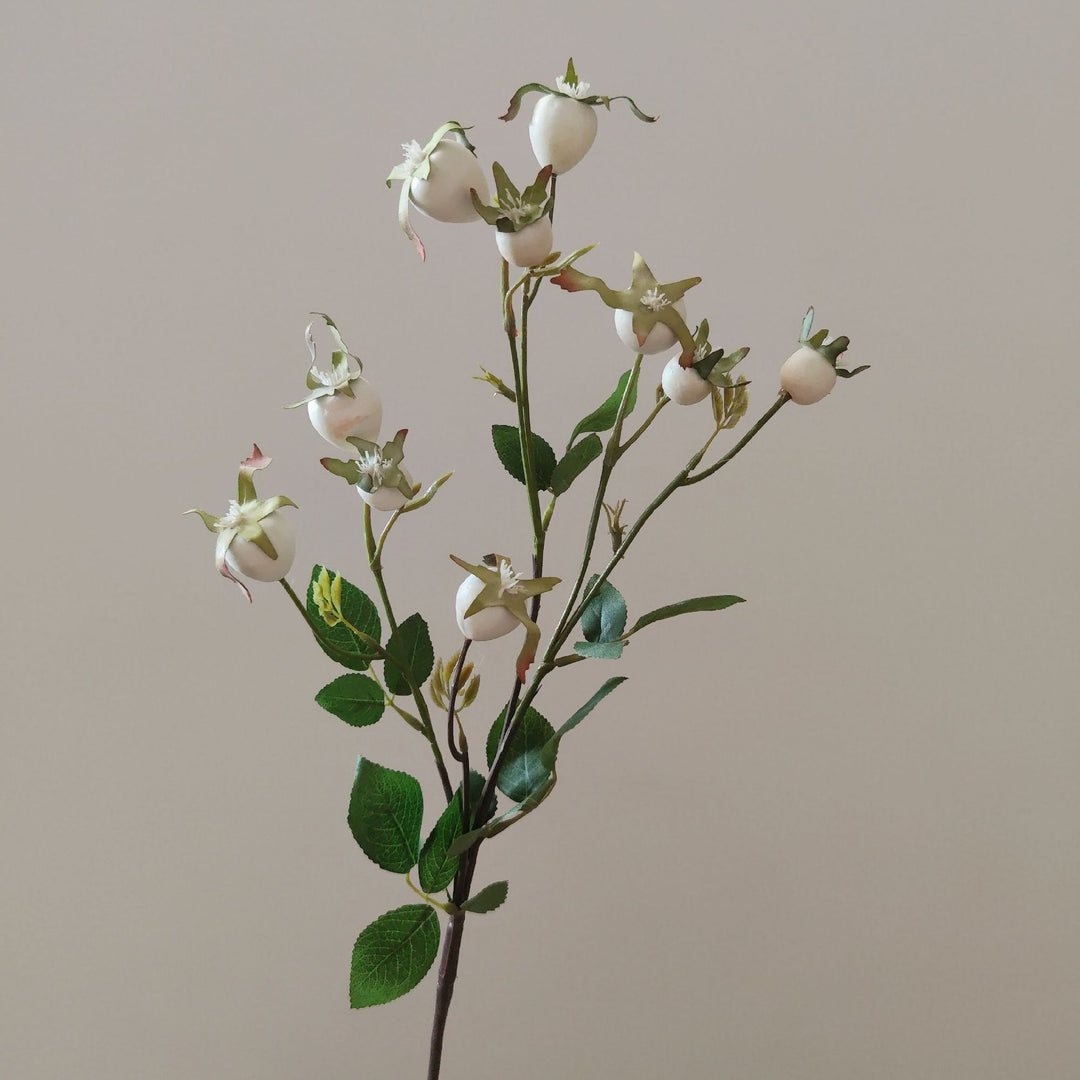 Decorative Natural Dried Floral Stem