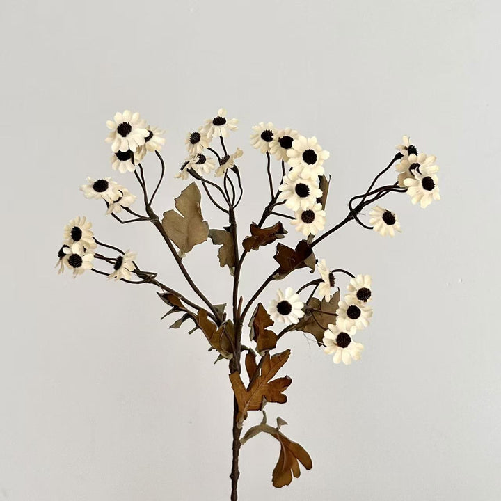 Decorative Dried Flowers