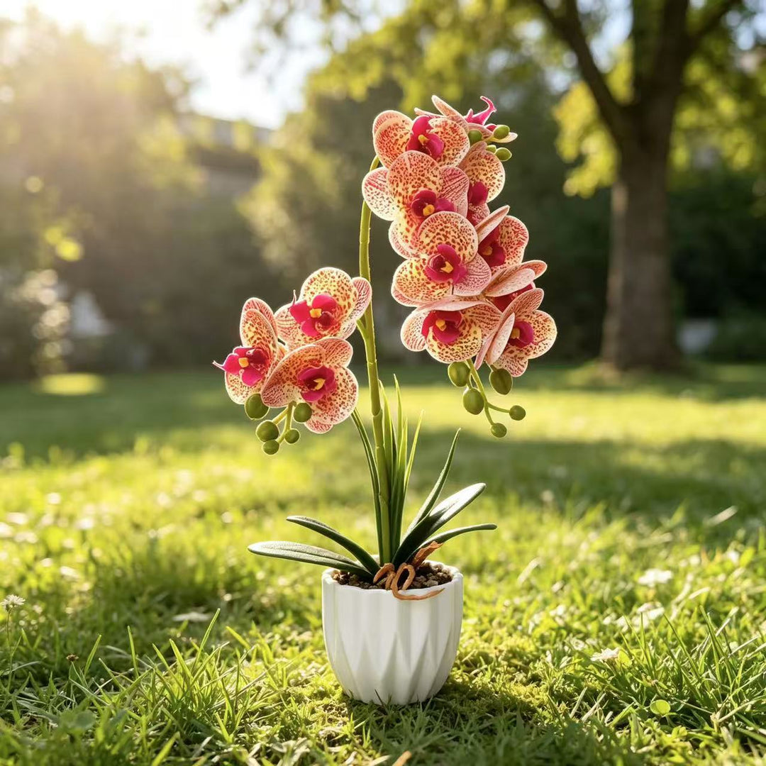 Lifelike Orchid Decorative Plant