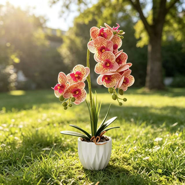 Lifelike Orchid Decorative Plant
