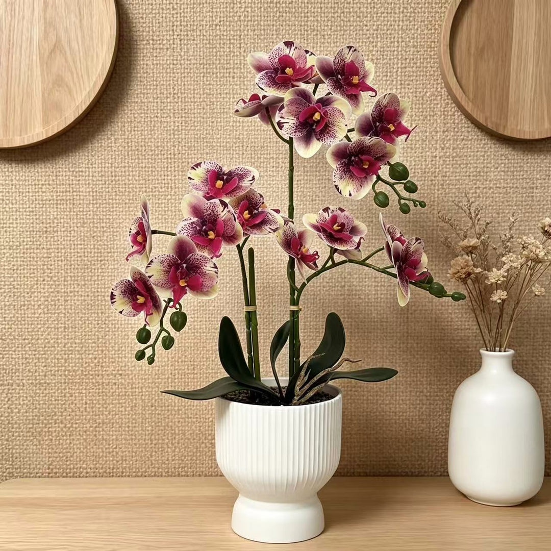 Lifelike Orchid Floral Décor
