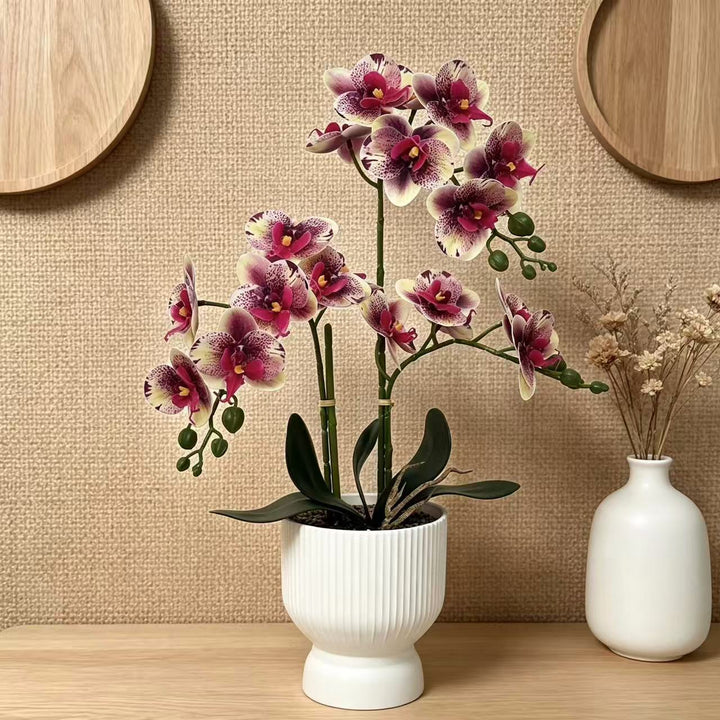 Lifelike Orchid Floral Décor