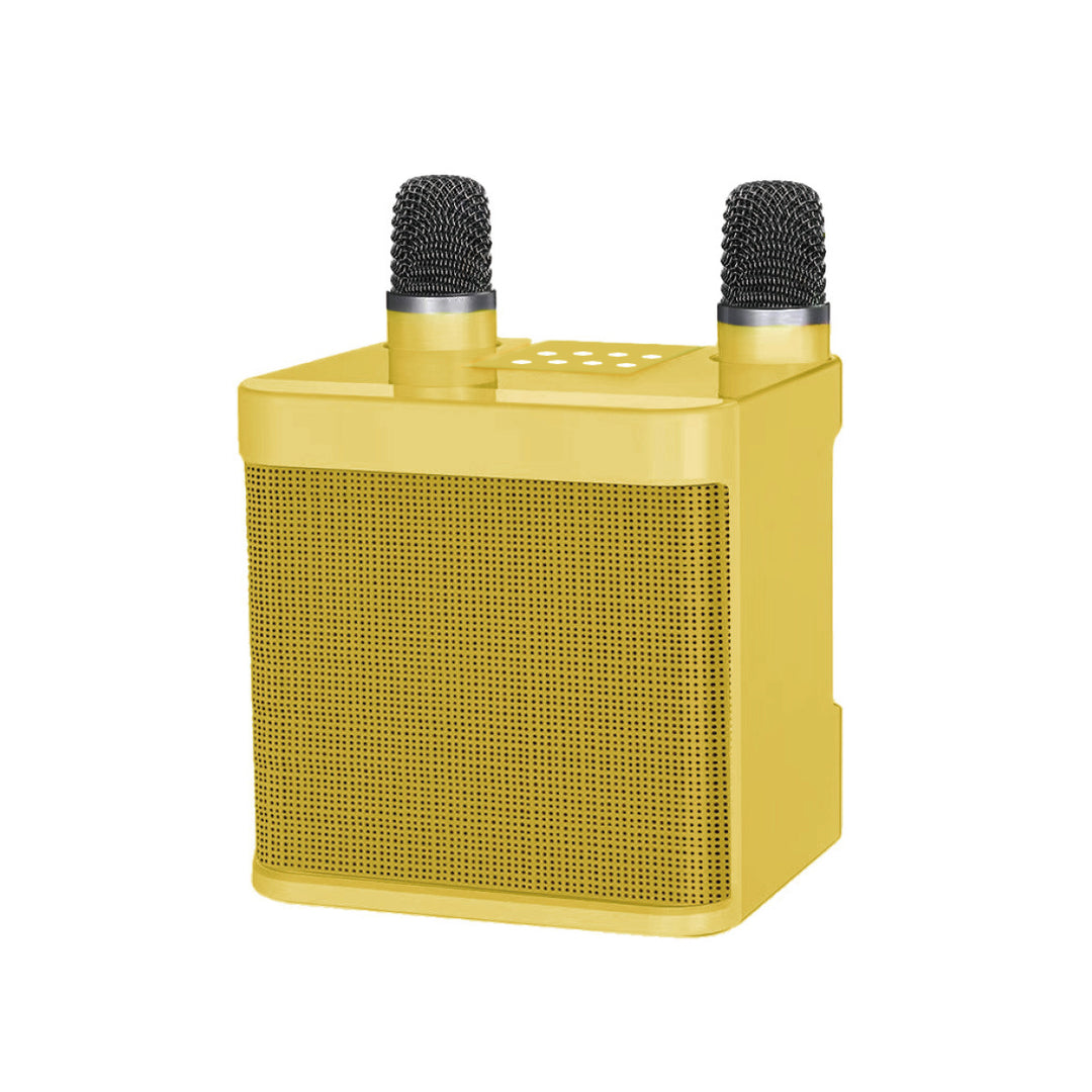 Karaoke Speaker System Stornfield