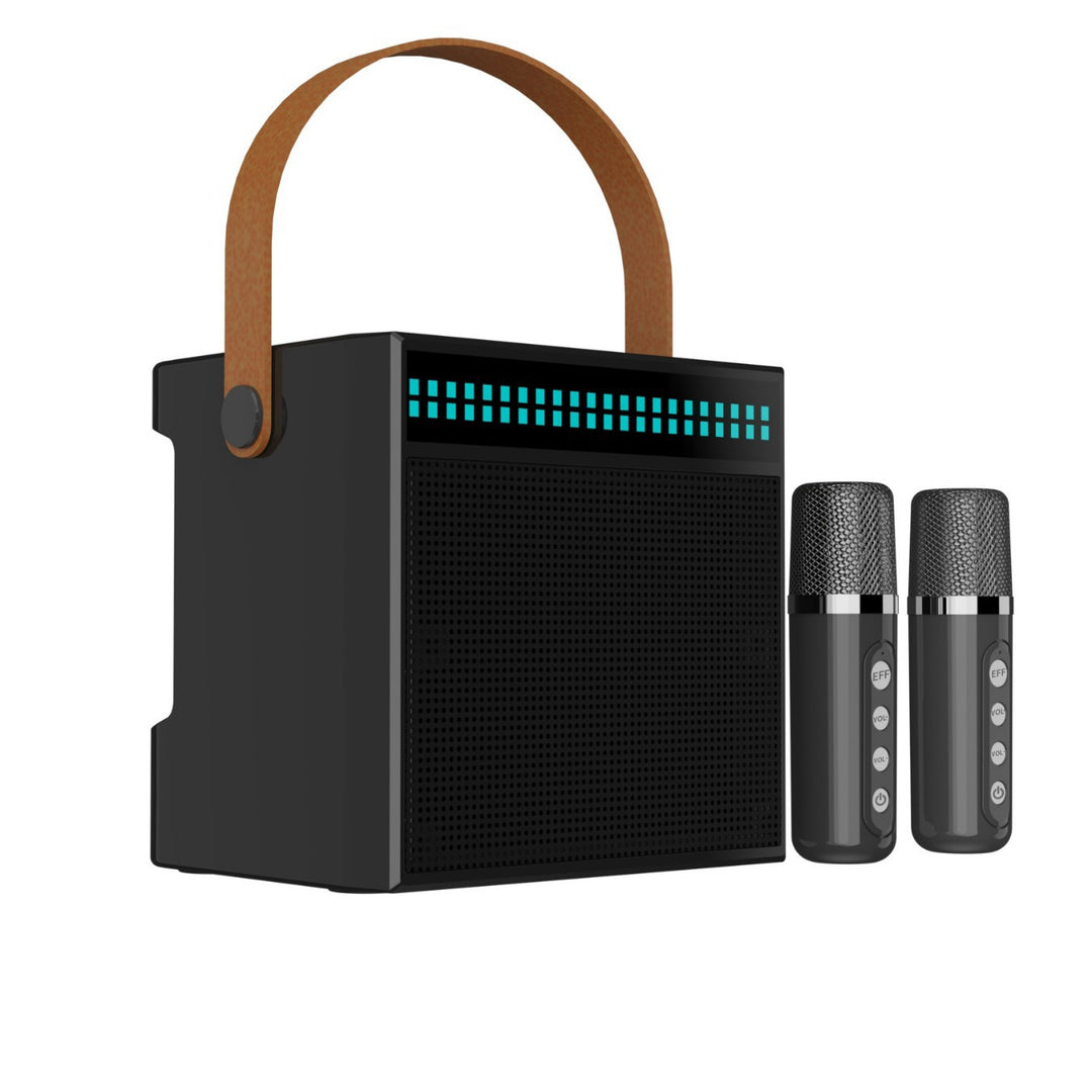 Portable Karaoke System with Dual Microphones Stornfield
