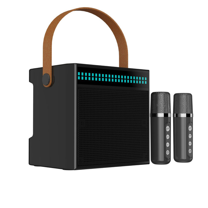 Portable Karaoke System with Dual Microphones Stornfield