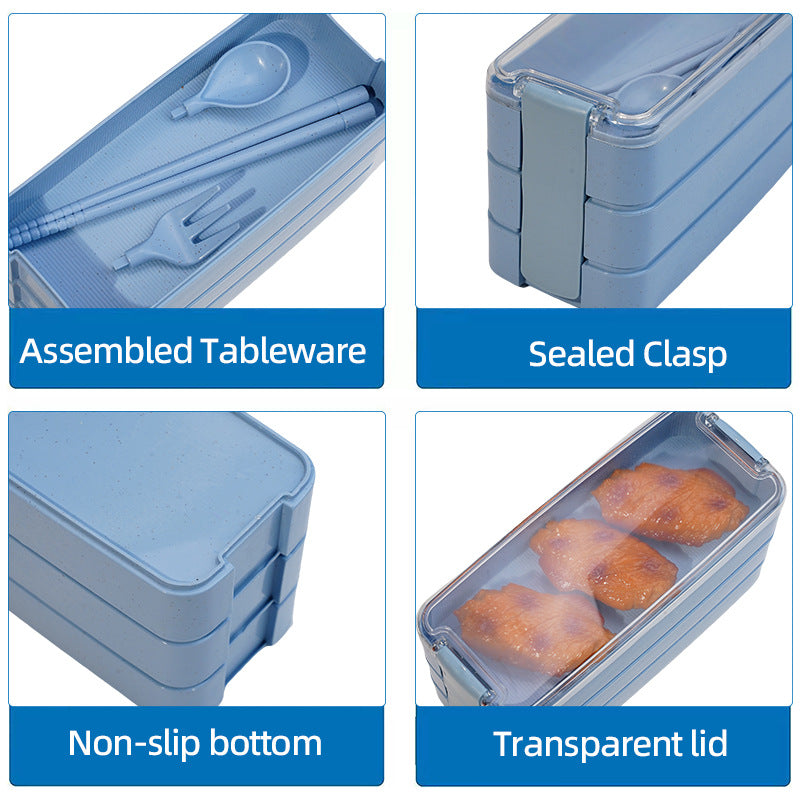 Multi-Compartment Bento Lunch Box