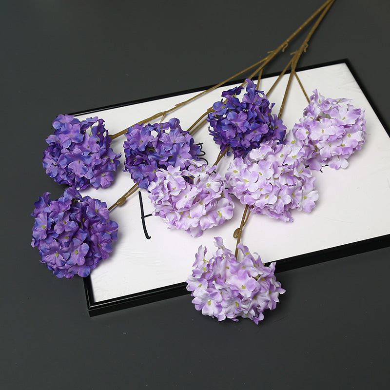 Decorative Dried Floral Stem for Home Decor