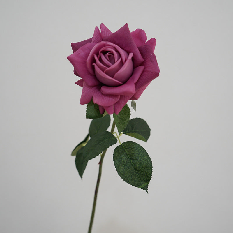Lifelike Garden Rose Stem
