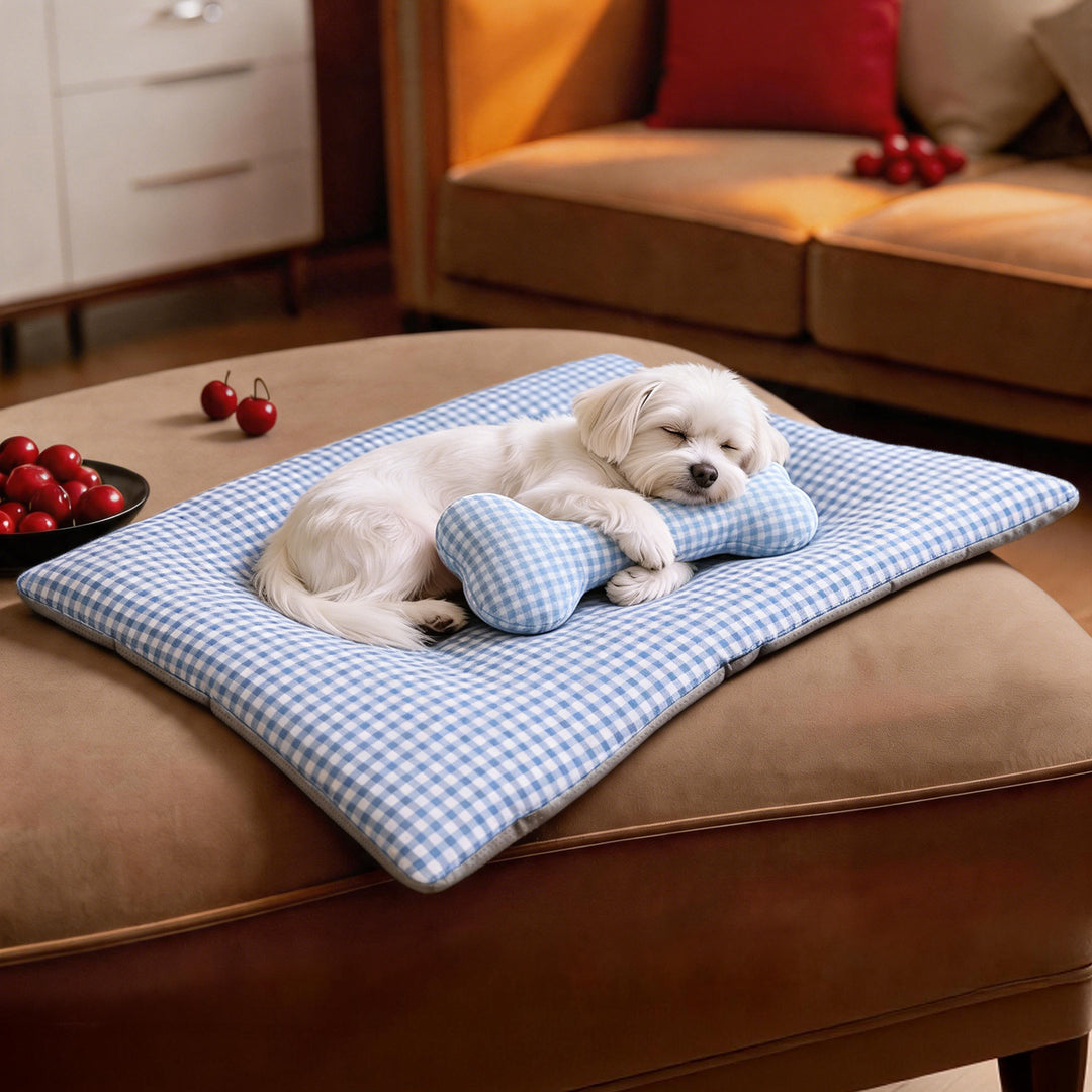 Women’s Luxury Cat Bed with Ergonomic Cushion Stornfield