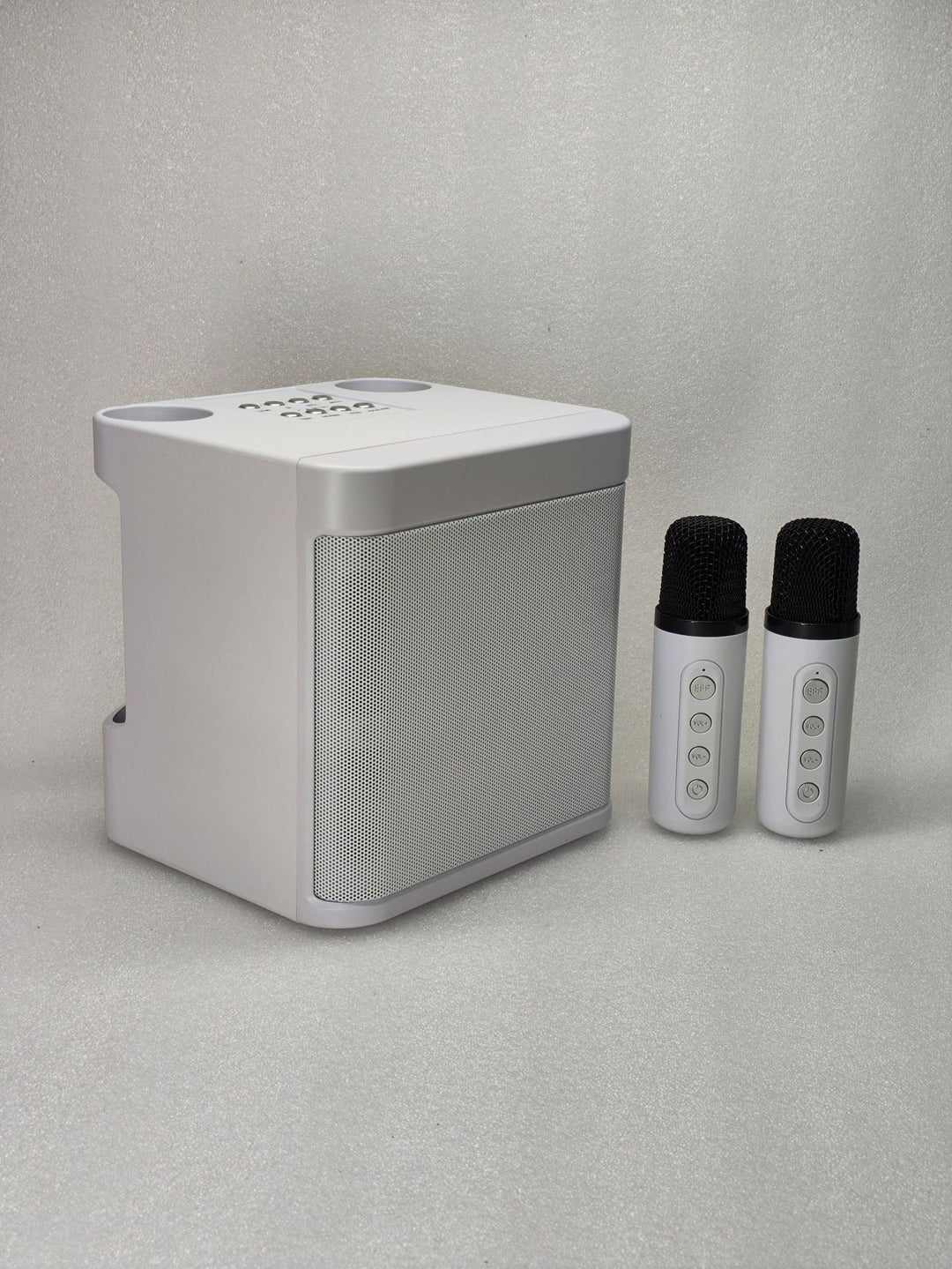 Portable Karaoke Speaker System Stornfield